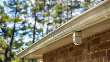 Gutter Guard Mesh vs. Surface Tension: What Actually Works in Summerville's Pine Country?